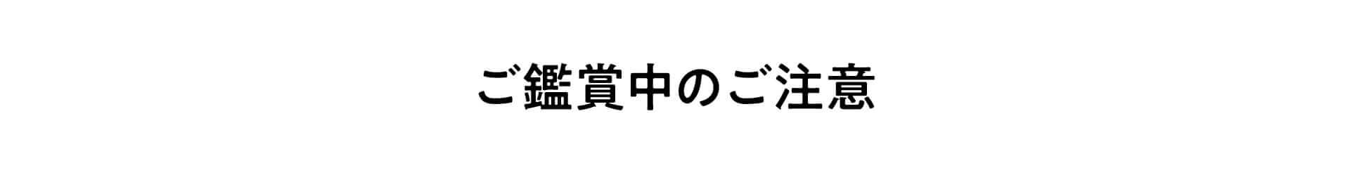 ご鑑賞中のご注意