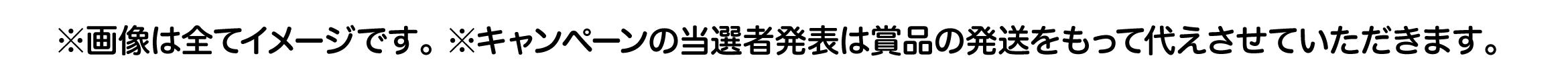 ※画像は全てイメージです。 ※キャンペーンの当選者発表は賞品の発送をもって代えさせていただきます。